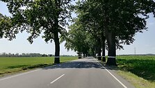 Kelionė į Kaliningradą