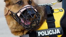 Policijos &scaron;uo