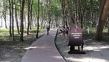 Takelis palei jūrą Palmininkuose