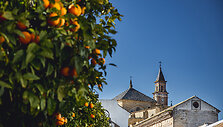 Carmona