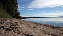 Bijotų-&Scaron;irvinto mi&scaron;ko pažintinis takas