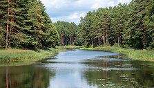 Saulės takas, Druskininkai