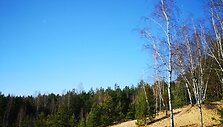 Bartku&scaron;kio kopa