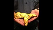 Aukso grynuolis