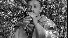 Kadras i&scaron; &bdquo;Pranci&scaron;kus, Dievo kvailelis&ldquo;