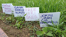 Mikro-protestas Luki&scaron;kių aik&scaron;tėje