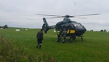 Kelmės rajone rastas pasiklydęs grybautojas