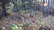 Barsukyno piliakalnis