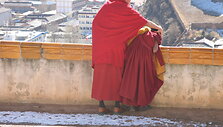 Tibetas