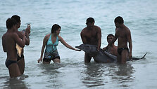 Delfinas