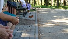 Nuotraukos pavadinimas