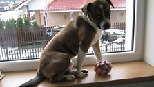 Nuotraukos pavadinimas