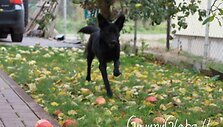 Nuotraukos pavadinimas