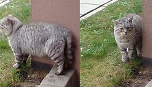 Nuotraukos pavadinimas