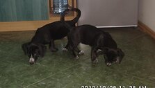 Nuotraukos pavadinimas