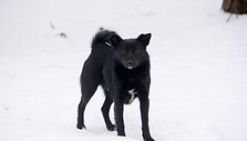Įkrauk.lt nuotrauka