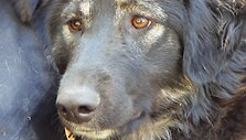 Įkrauk.lt nuotrauka