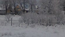 Žiema