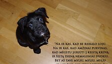 Įkrauk.lt nuotrauka