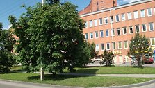 Įkrauk.lt nuotrauka