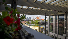 Vilniaus stogai