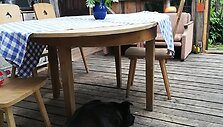 Aurelija kartu su vyru pastatė namelį i&scaron; senų langų