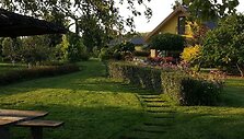 Daivos ir Gedo Černiauskų kieme &ndash; žydėjimo pikas