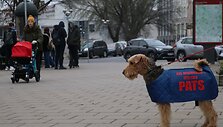 Apie plaučių vėžio prevenciją primena ir originaliais &bdquo;reklaminiais plotais&ldquo; tapę keturkojai