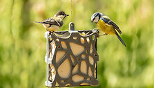 Lesyklėlės i&scaron; antrinių žaliavų