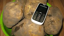 Bulvės milžinės &ndash; 7 svėrė daugiau kaip 5 kilogramus!