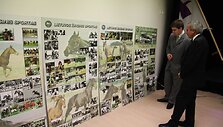 Lietuvos žirginio sporto federacijos jubiliejuje buvo surengta ir paroda.