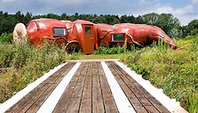 Tiesiosios žarnos vie&scaron;butis Belgijoje