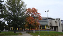 Druskininkų ruduo