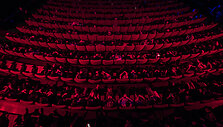 Kino pavasaris