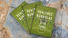 Knygos &bdquo;Realybės burbulas&ldquo; vir&scaron;elis