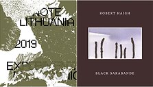 Albumų &bdquo;Experimental / Electronic 2019&ldquo; ir &bdquo;Black Sarabande&ldquo; vir&scaron;eliai
