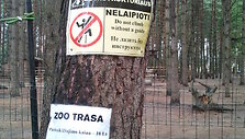 Nuotykių parke &scaron;alia Palangos susižalojo septynmetis