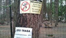 Nuotykių parke &scaron;alia Palangos susižalojo septynmetis