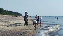 Žirgai Karklės pakrantėje