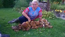 Birutė Arnasienė