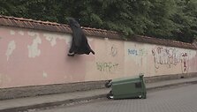 Gintarė Latvėnaitė