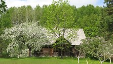 Zarasų gimnazistų nusiaubta kaimo turizmo sodyba