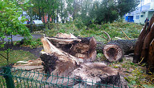Palangoje &ndash; uraganinis vėjas