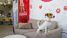&bdquo;Coca-Cola HBC Lietuva&ldquo; naujas biuras verslo centre &bdquo;Duetto&ldquo;