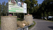  "Veislinių gyvūnų paroda Algirdi&scaron;kis 2020"