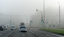 Paskutinės rudens dienos Vytauto &Scaron;auklio nuotraukose
