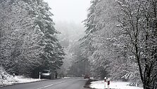 Žiema Vytauto &Scaron;auklio kadruose