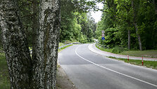 Anyk&scaron;čių &scaron;ilelis