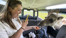 Safari parkas netoli Anyk&scaron;čių