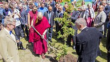 Tibeto skvere Dalai Lama sodina obelaitę